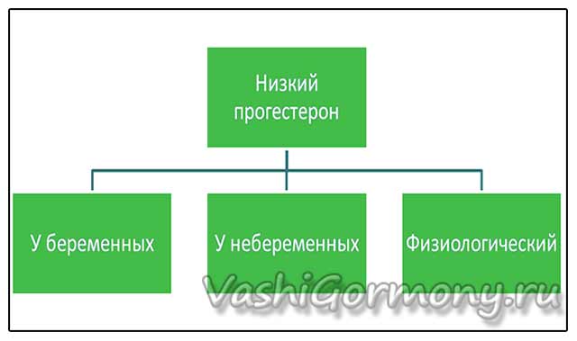 Прогестерон у женщин норма нмоль/л. Что продуцирует прогестерон. Прогестерон влияние на молочную железу. Прогестерон повышение и понижение. Норма прогестерона у женщин на 7 день цикла.
